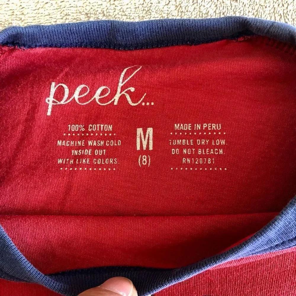 Peek Kids Spring Baseball Graphic Raglan Tee